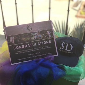 Sdcyb silent auction baseball s300