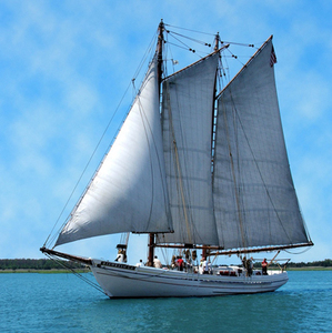 Jersey Shore Sailing and Birding