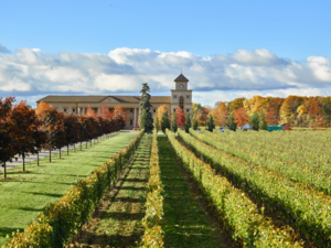 Winery front s300