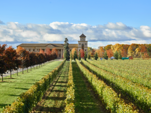 Two Sisters Vineyards, Niagara-on-the-Lake, ON