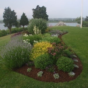 Mulch s300