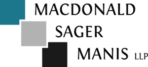 Msm logo s300