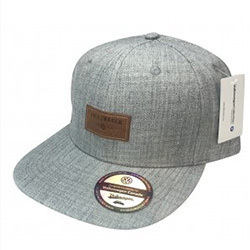 VW Snap back hat