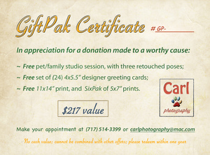 Gift certificate giftpak 2013 front 4x5.5 s300