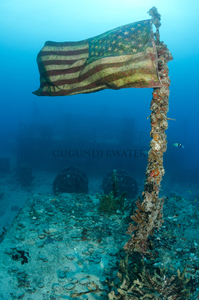 Gug flag vi s300