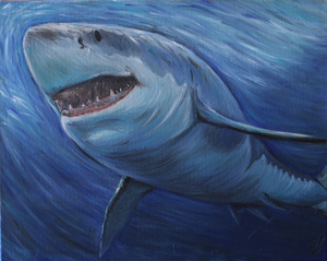 Ashley great white s300