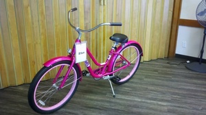 Bicycle s300
