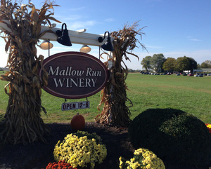 Mallow Run Winery