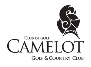 Camelot s300