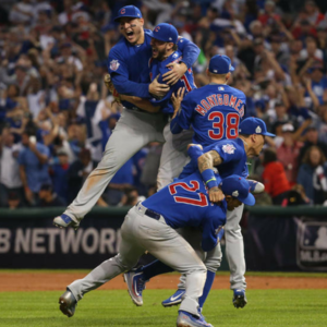 Cubs s300