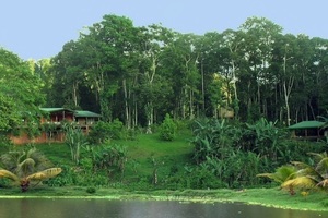 Costa Rica 10-day Stay at Jungle/Beach Home