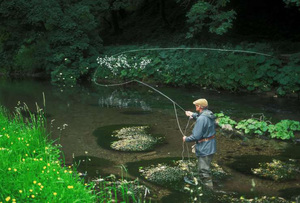 Trout fishing wwwdavidmasonimagescom s300