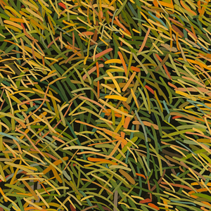 Stephenhoward crop s300