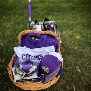 Ultimate Vikings Fan Pack