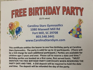 Gymnastics Birthday Party