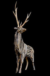 A Driftwood Elk