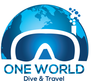 One world dive s300