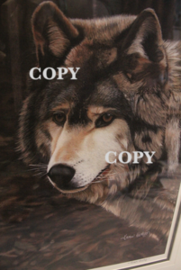 Montana Wolf Print