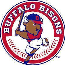Buffalo bisons s300