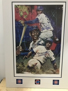 Collectorspecialcubs s300