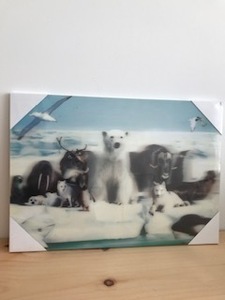 3D Artic animal scene