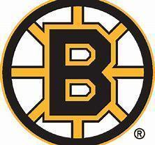 Bruins s300
