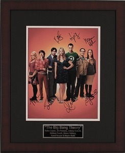 Big bang theory s300