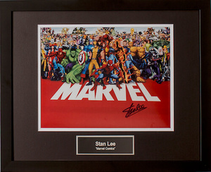 Stan lee marvel s300