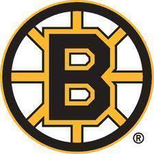 Bruins logo2 s300