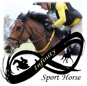 Infinity Sport Horse Lessons & Stabling