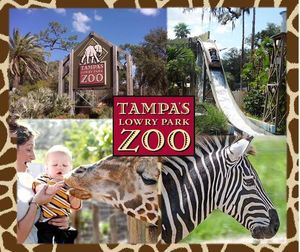 2 Tampa Zoo Admission Tickets + Gift Basket