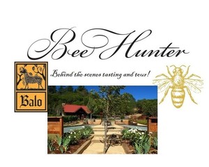 Bee hunter tour1 s300