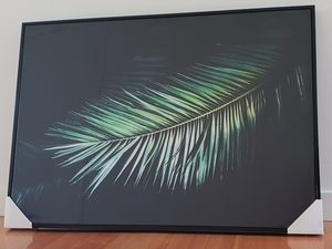 Palm s300