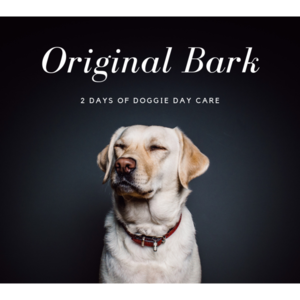 Central bark 2 s300