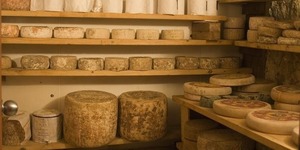 Formaggio Kitchen Cheese Cave Tour & Tasting