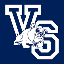 Viz mascot s550