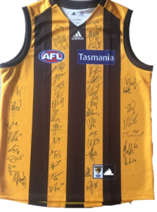 Hawks jersey s300