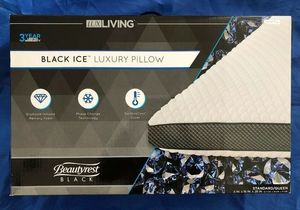 Beauty rest pillow 2 s300