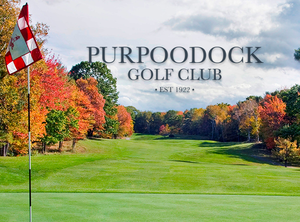 Purpoodock s300