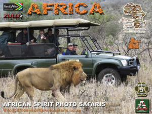 #02- African Photographic Safari