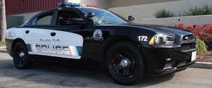 Fvpd s300