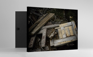 Twin peaks pgw landscape door s300