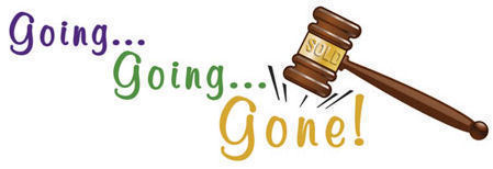 Auction logo s550