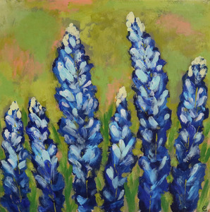 Emily little flowers 2019 s300