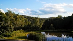 View from porch s300