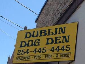 Dublin dog denm s300