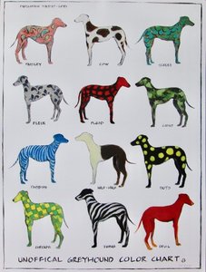 Poster - Unofficial Greyhound Color Chart