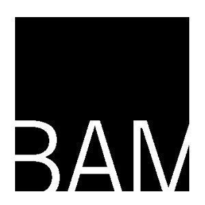 Bam s300
