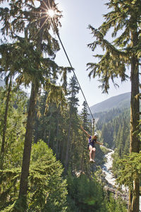 Ziptrek bear summer creek 1 s300
