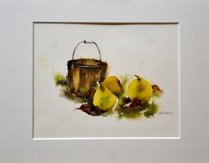 Bucket with Pears